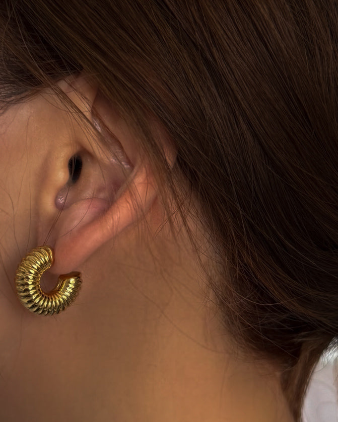 Daria Chunky Earrings Small