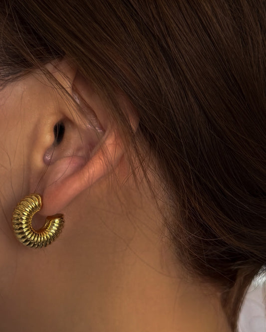 Daria Chunky Earrings Small