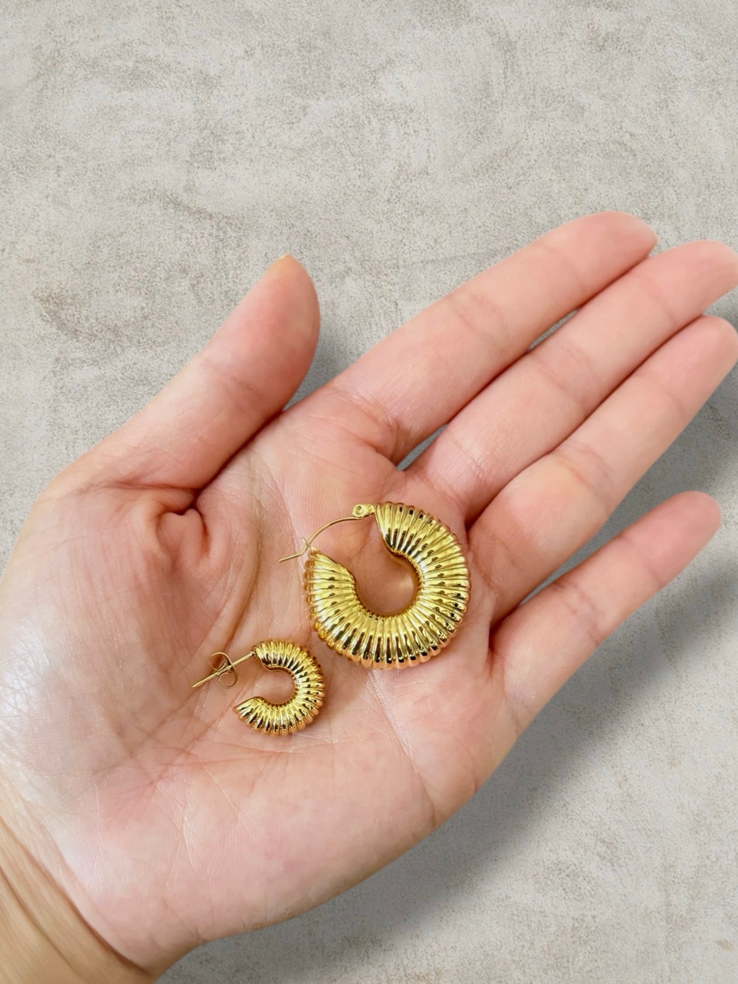 Daria Chunky Earrings Small